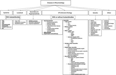 Cardiac Magnetic Resonance in Rheumatology to Detect Cardiac Involvement Since Early and Pre-clinical Stages of the Autoimmune Diseases: A Narrative Review